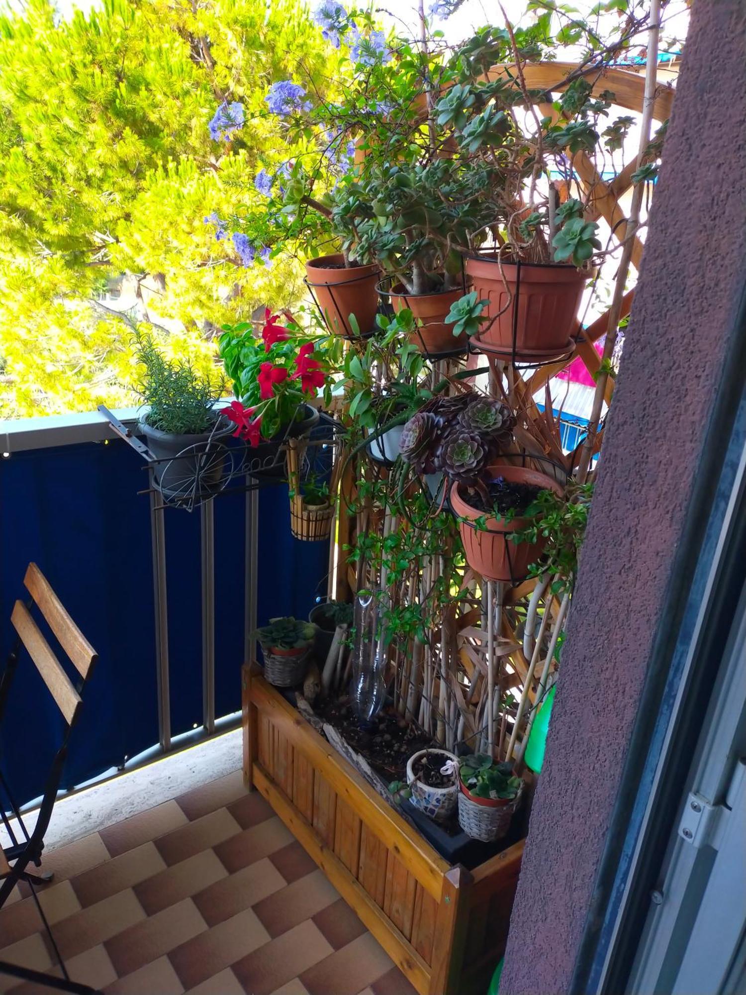 Appartamento Riviera Trilocale Wifi E Parcheggio Privato Ventimiglia Kültér fotó